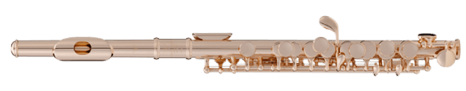 Hovedbilde Sankyo piccolo 301N