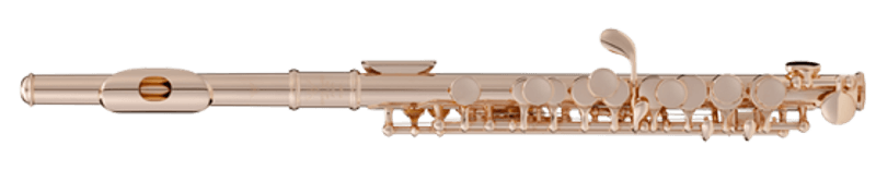 Sankyo piccolo 301N
