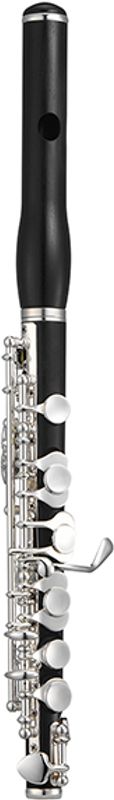 Jupiter piccolo 1000E