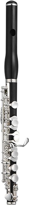 Hovedbilde Jupiter piccolo 1100E